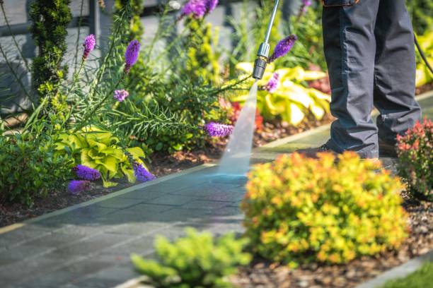 Best Post-Construction Pressure Washing  in Valley Center, CA